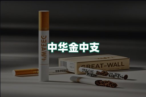 中华金中支